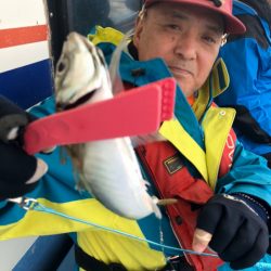 ヤザワ渡船 釣果