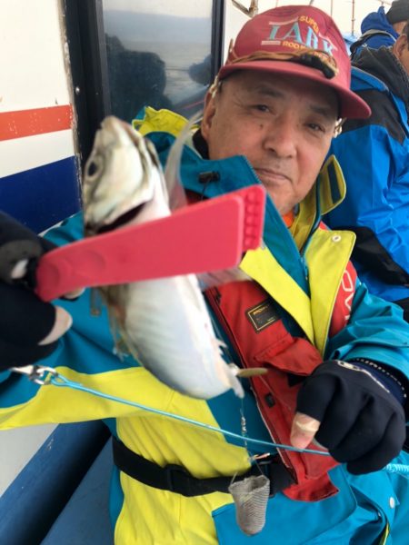 ヤザワ渡船 釣果