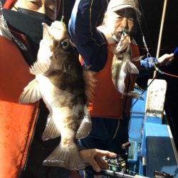 ヤザワ渡船 釣果