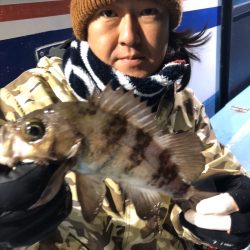 ヤザワ渡船 釣果