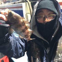 ヤザワ渡船 釣果