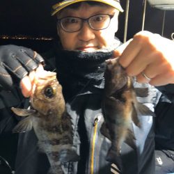 ヤザワ渡船 釣果