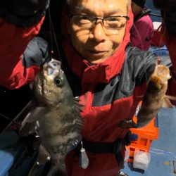 ヤザワ渡船 釣果