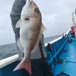 太平丸 釣果