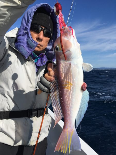 渡船屋たにぐち 釣果