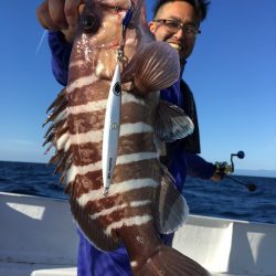 渡船屋たにぐち 釣果