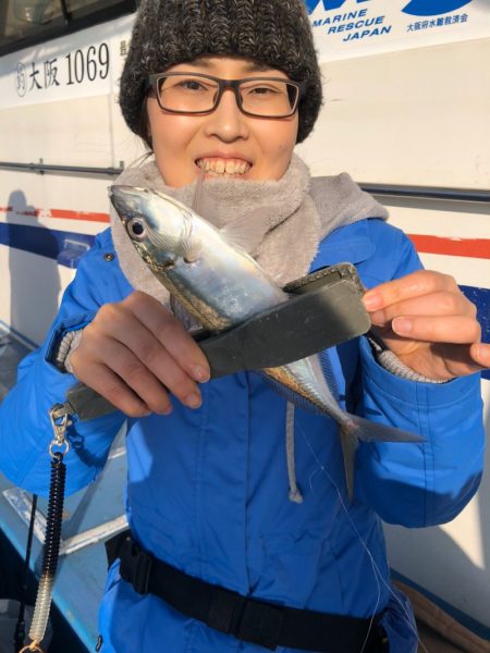 ヤザワ渡船 釣果