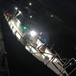 遊漁船メテオ 釣果