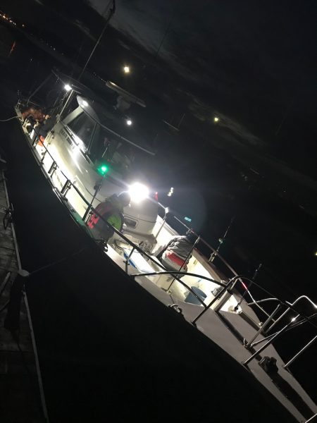 遊漁船メテオ 釣果