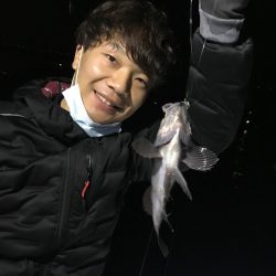 遊漁船メテオ 釣果