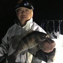 遊漁船メテオ 釣果