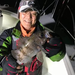 遊漁船メテオ 釣果