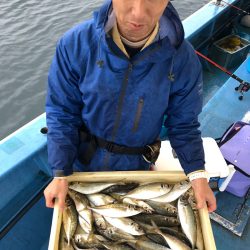 ヤザワ渡船 釣果