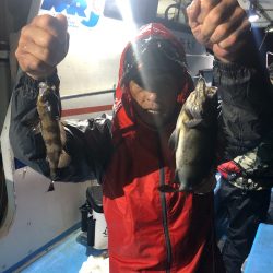 ヤザワ渡船 釣果