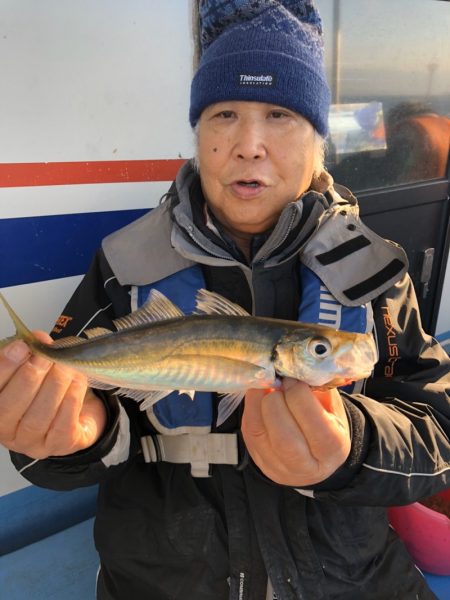 ヤザワ渡船 釣果