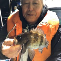 ヤザワ渡船 釣果