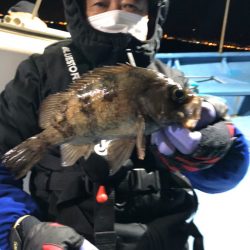 ヤザワ渡船 釣果