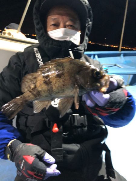 ヤザワ渡船 釣果