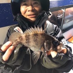 ヤザワ渡船 釣果