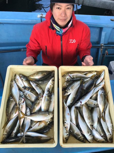 ヤザワ渡船 釣果
