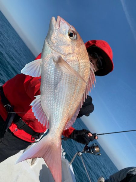 ランスルー 釣果