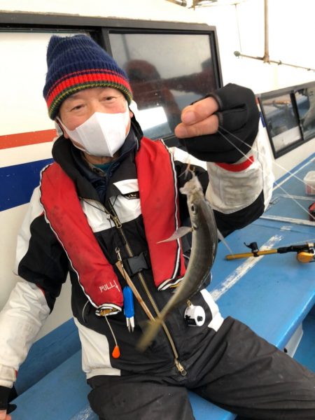 ヤザワ渡船 釣果