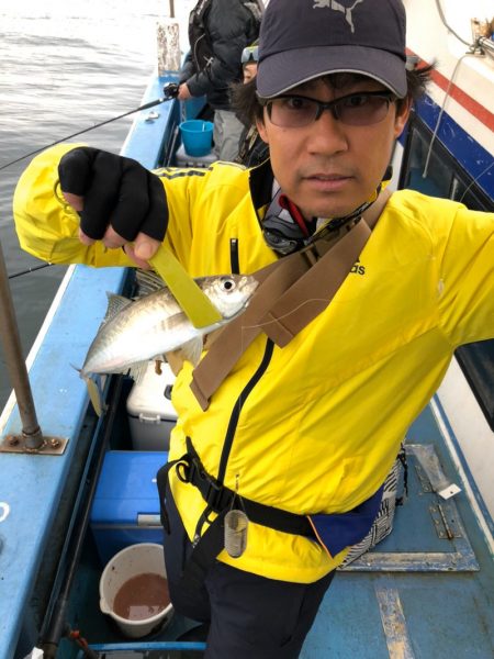 ヤザワ渡船 釣果