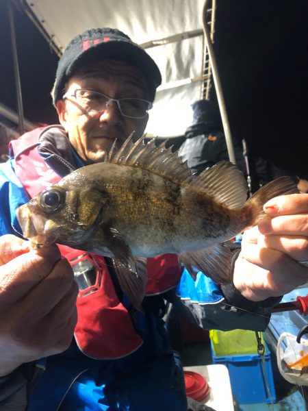 ヤザワ渡船 釣果