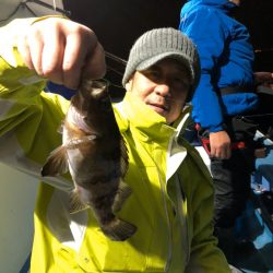 ヤザワ渡船 釣果