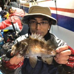 ヤザワ渡船 釣果