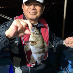 ヤザワ渡船 釣果