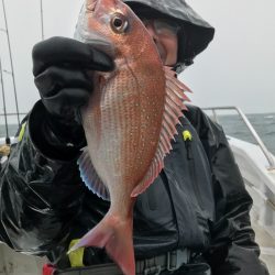 ランスルー 釣果