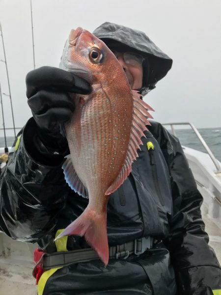 ランスルー 釣果