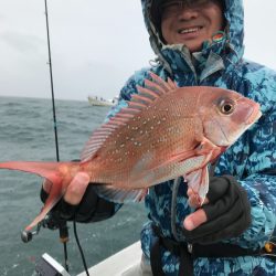 ランスルー 釣果