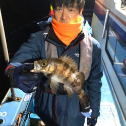 ヤザワ渡船 釣果
