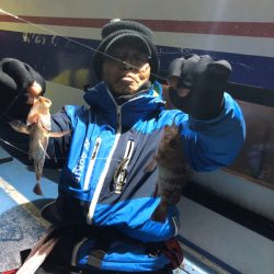 ヤザワ渡船 釣果