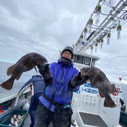 シーランチ 釣果