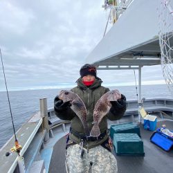 シーランチ 釣果