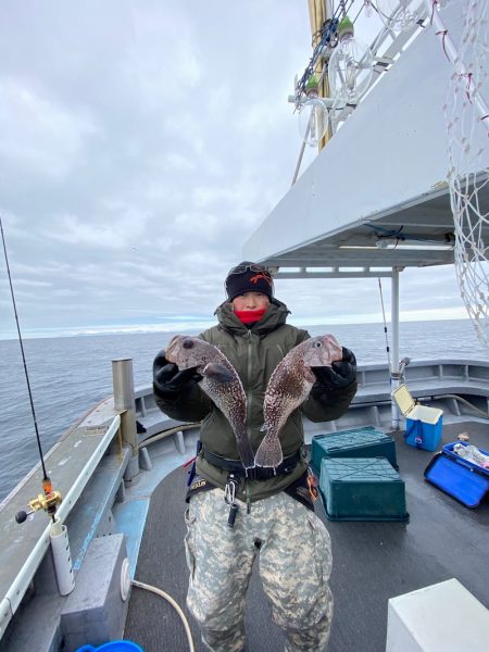 シーランチ 釣果