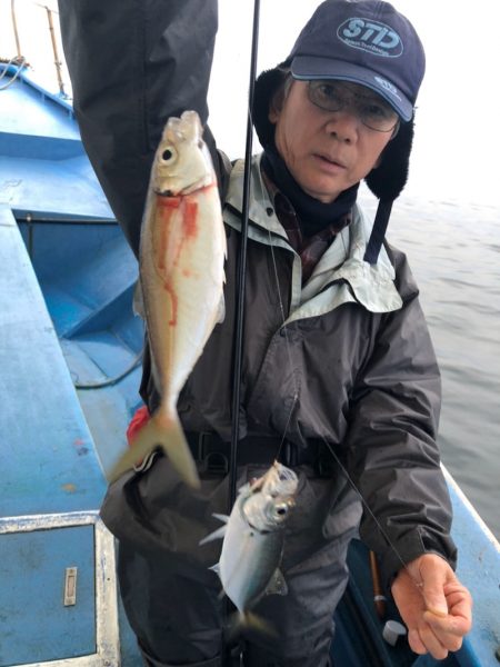 ヤザワ渡船 釣果