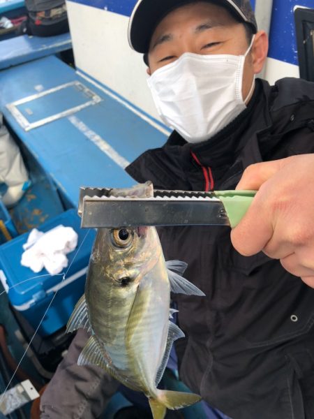 ヤザワ渡船 釣果