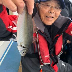 ヤザワ渡船 釣果
