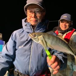 愛海丸 釣果