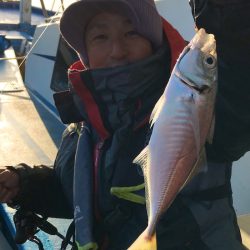 ヤザワ渡船 釣果