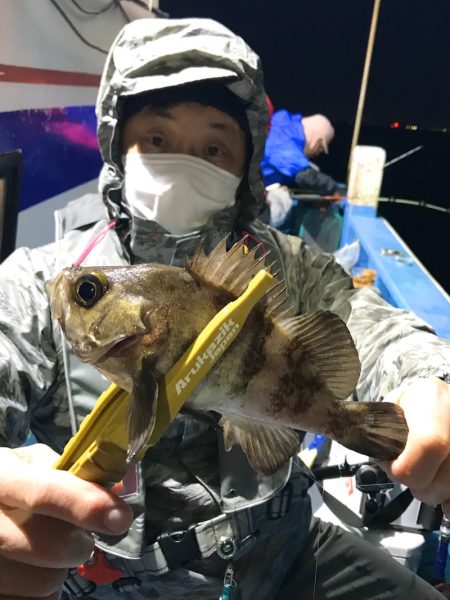 ヤザワ渡船 釣果