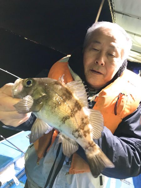 ヤザワ渡船 釣果