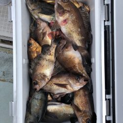 フィッシング キッタカ 釣果