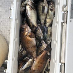 フィッシング キッタカ 釣果