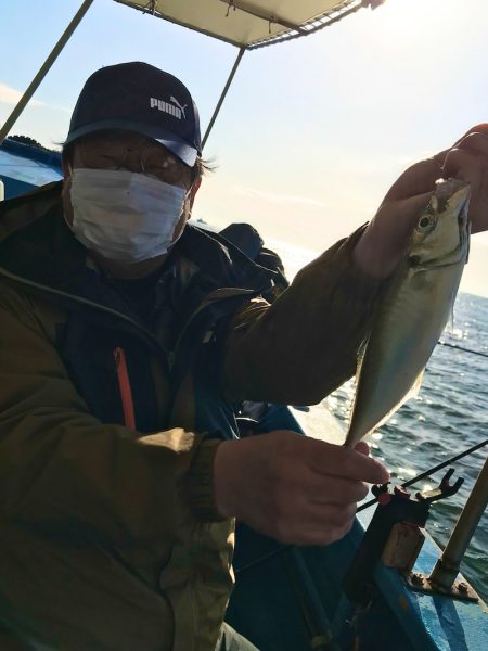 ヤザワ渡船 釣果