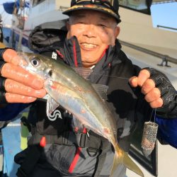 ヤザワ渡船 釣果